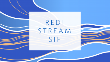 The REDI Stream Strategic Investment Fund